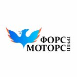 ФорсМоторс Групп