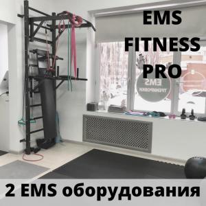 Фотография EMS Fitness Pro 2