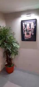 Фотография Equilibrium EMS  5