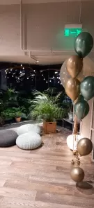 Фотография Equilibrium EMS  0