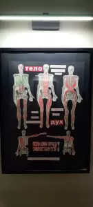 Фотография Equilibrium EMS  4